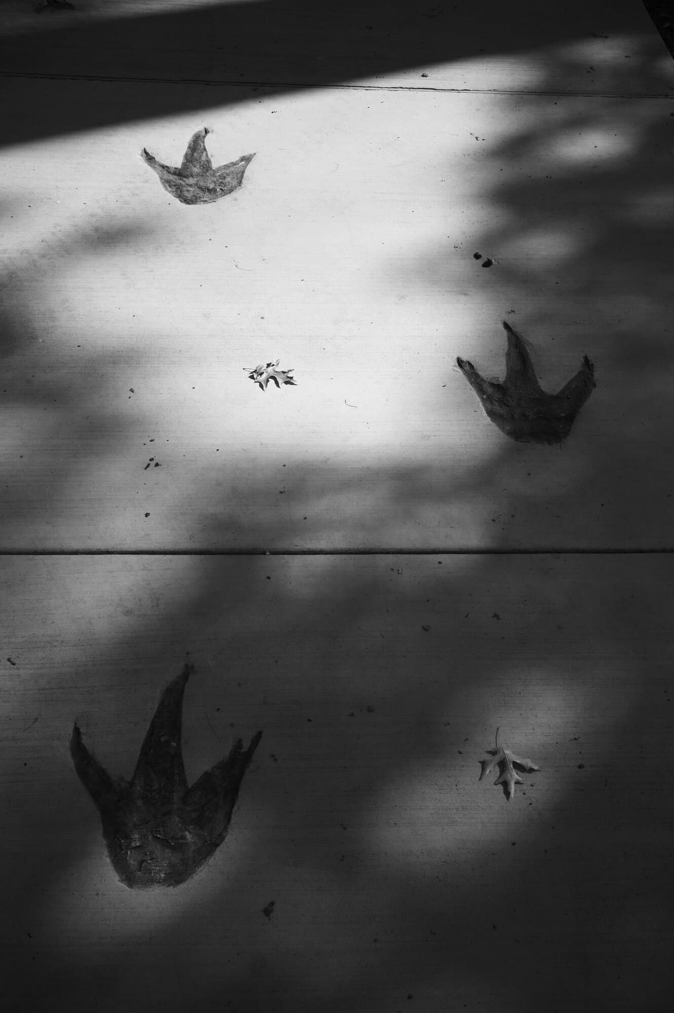 Black & White — frame 2