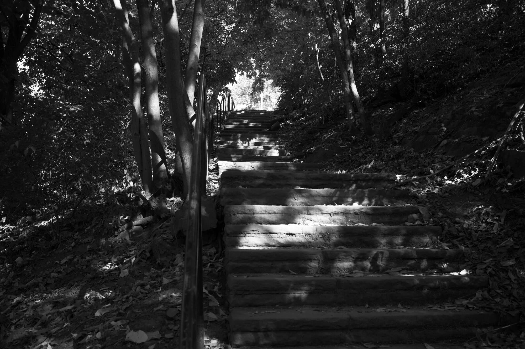 Black & White — frame 5