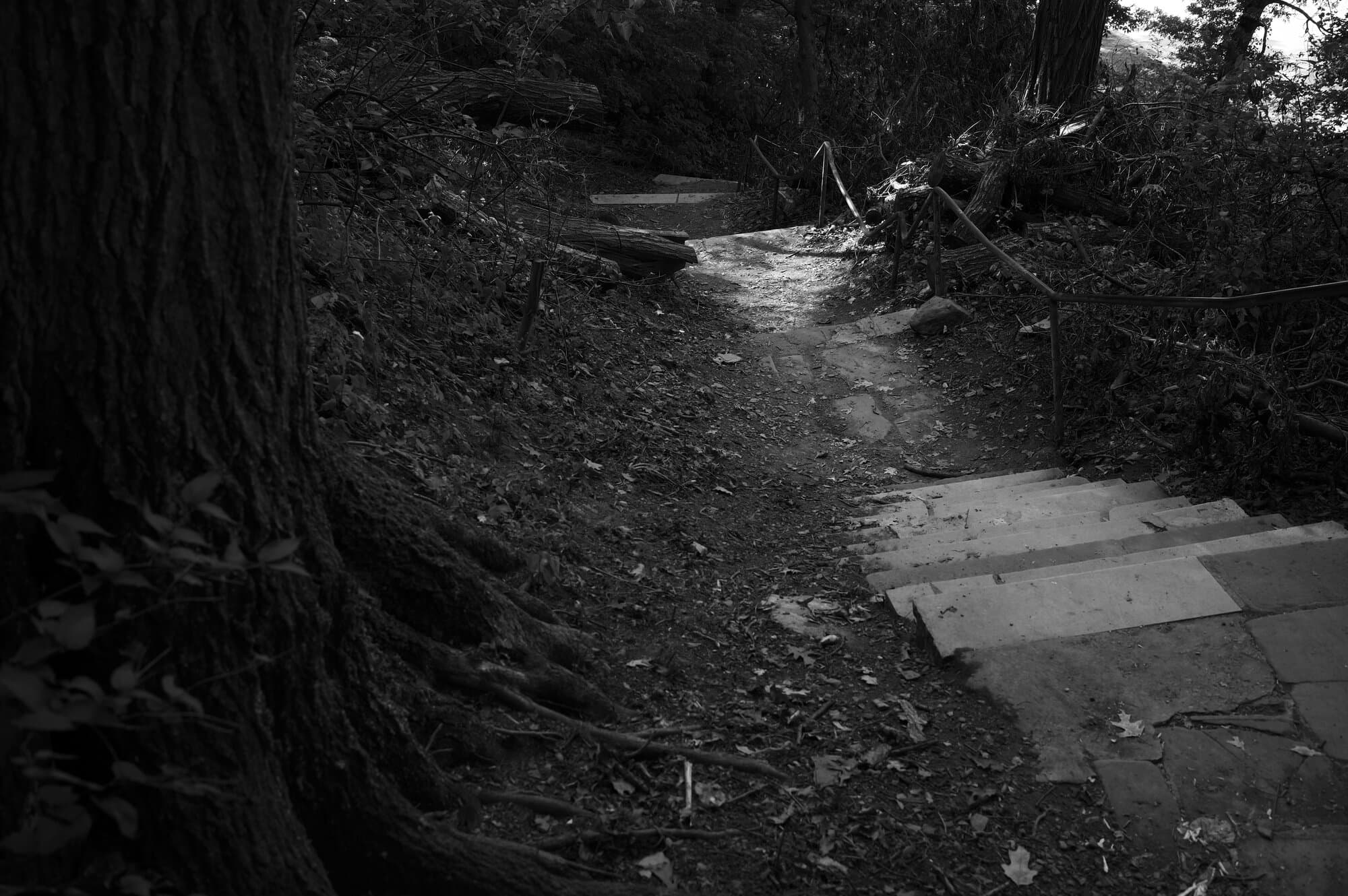 Black & White — frame 6