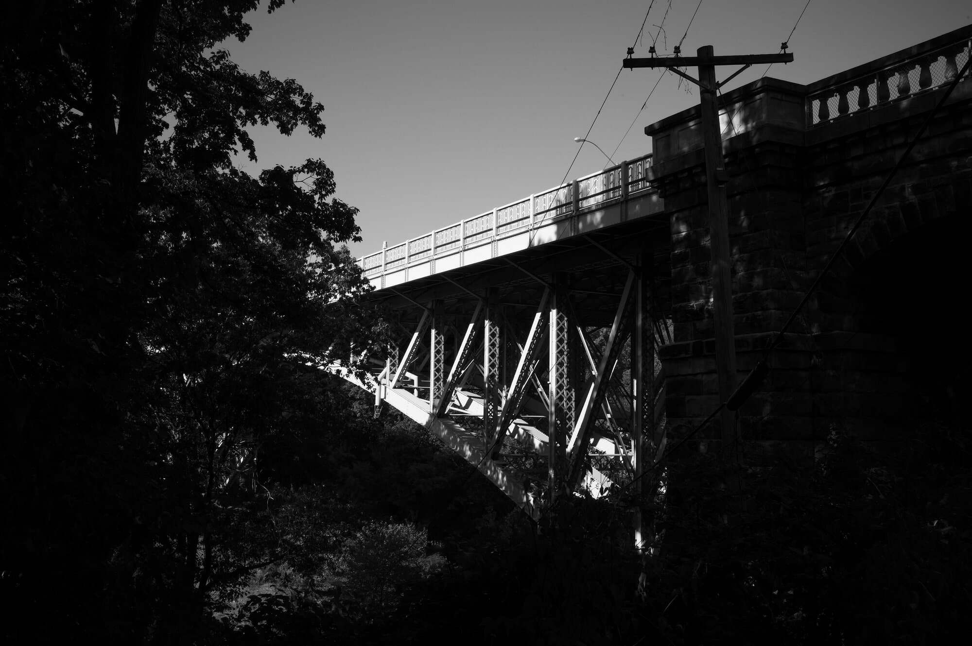 Black & White — frame 8