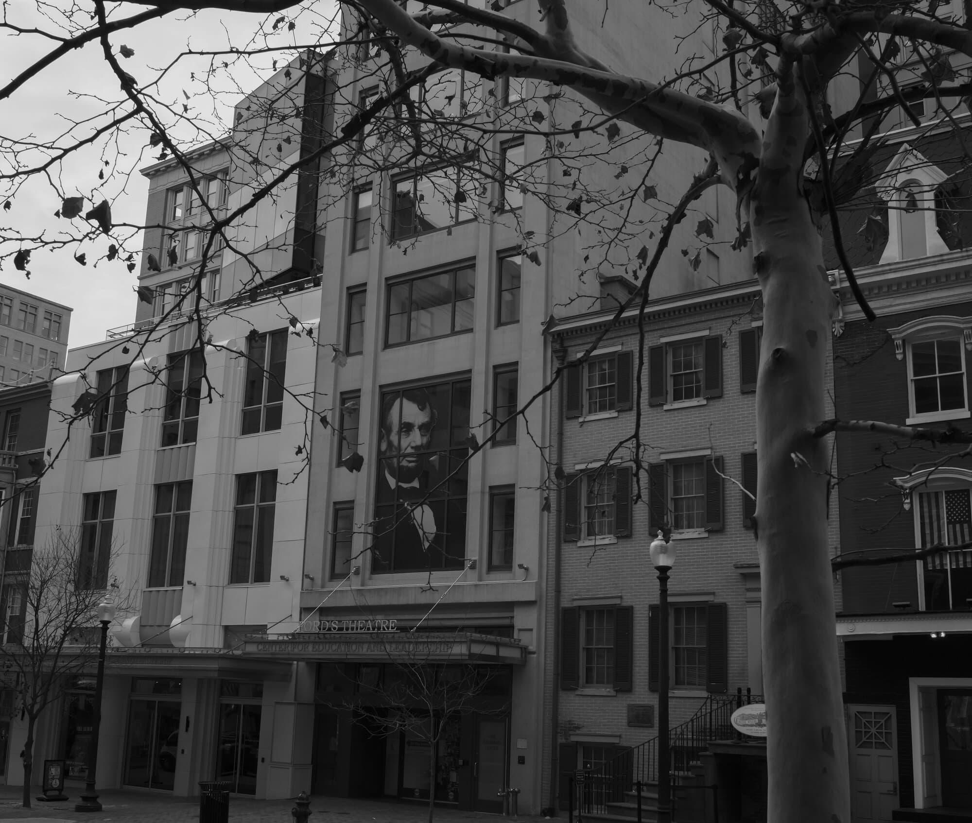 Black & White — frame 13
