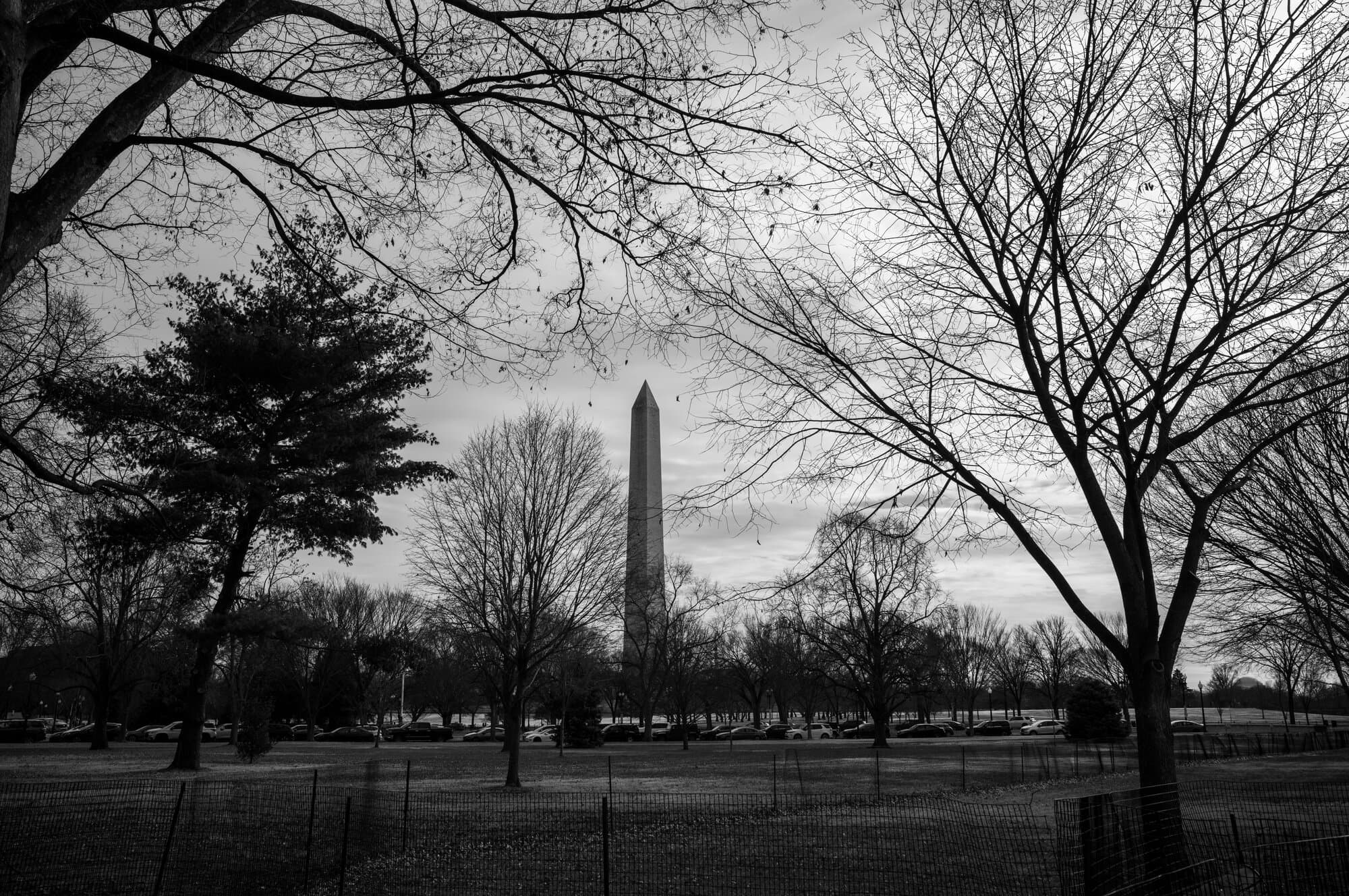 Black & White — frame 19