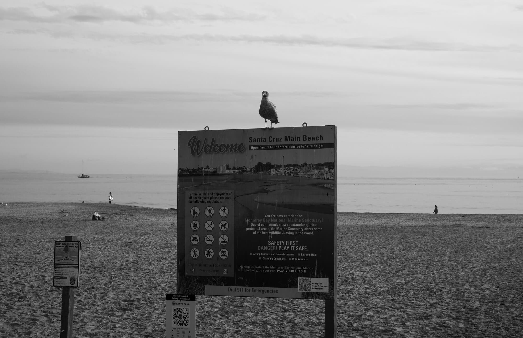 Black & White — frame 30