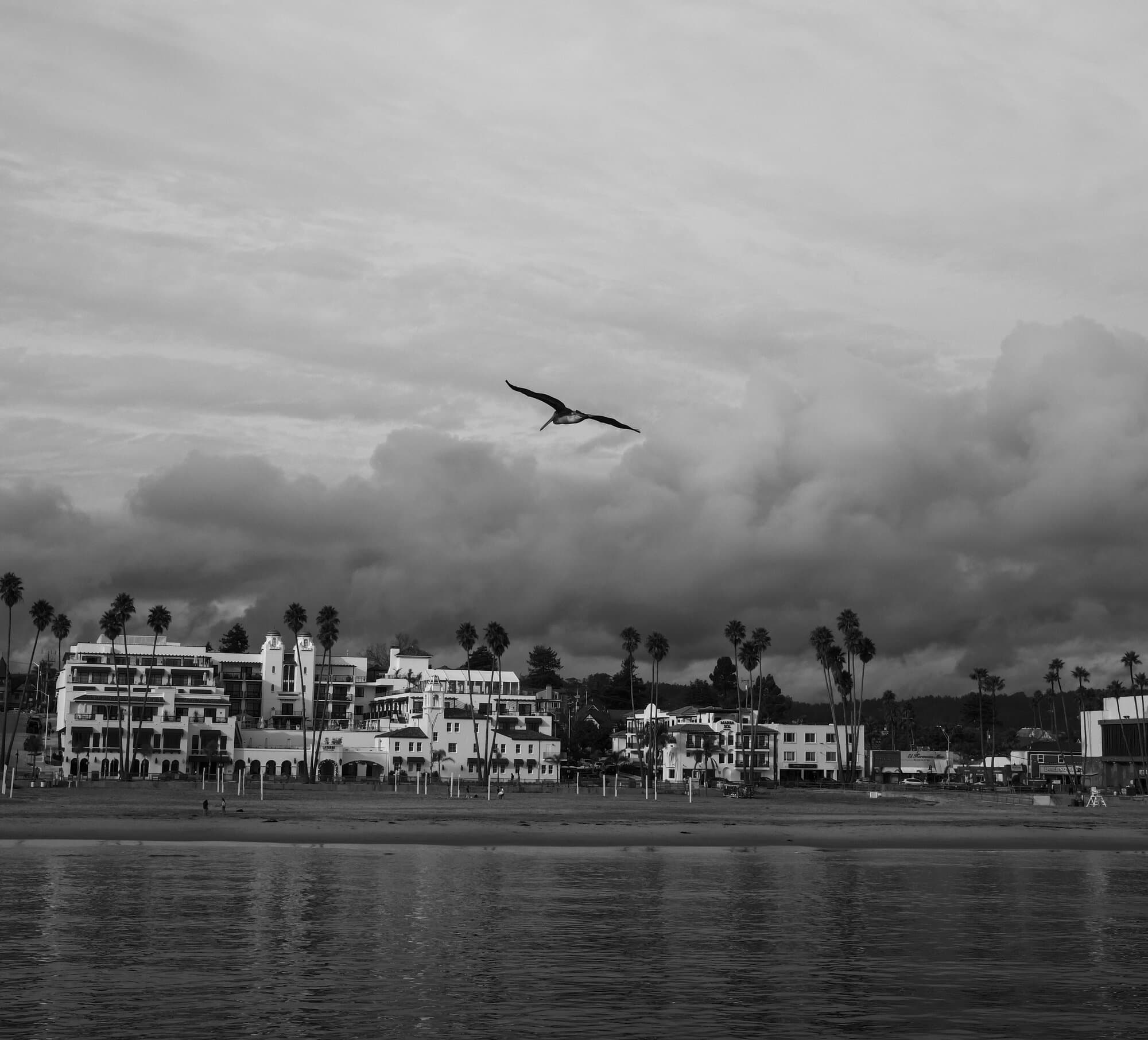 Black & White — frame 34