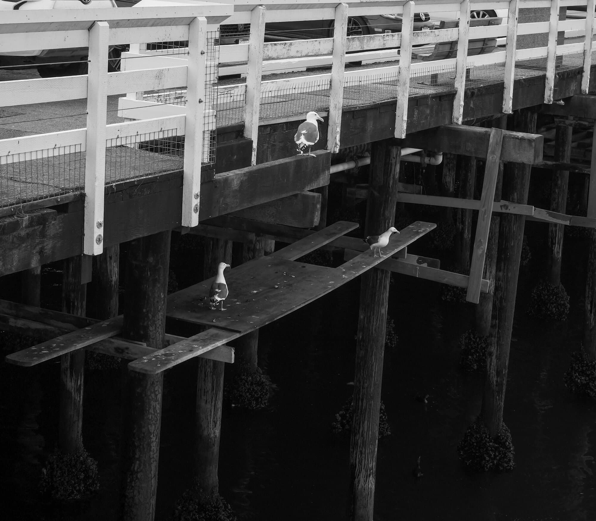 Black & White — frame 35