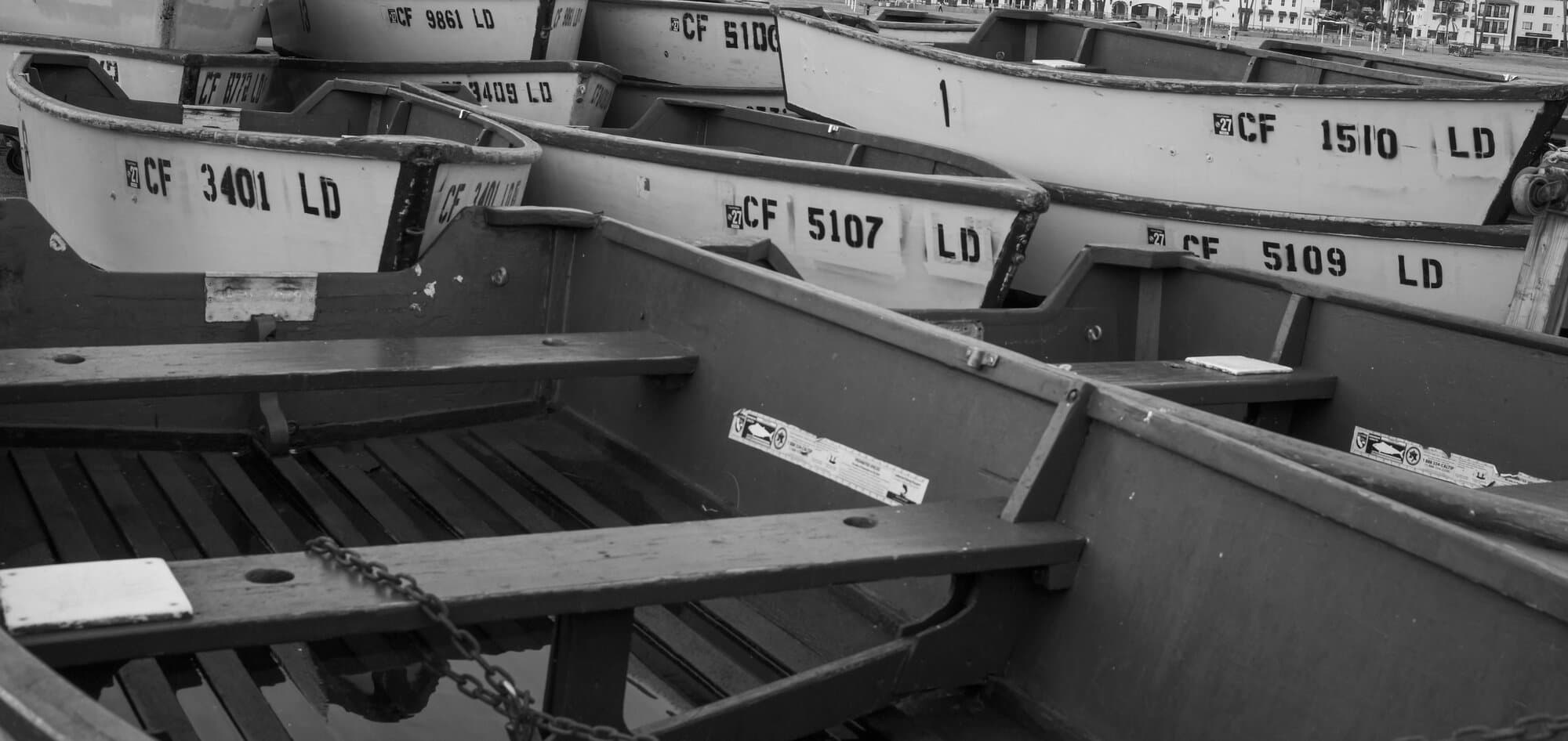 Black & White — frame 36