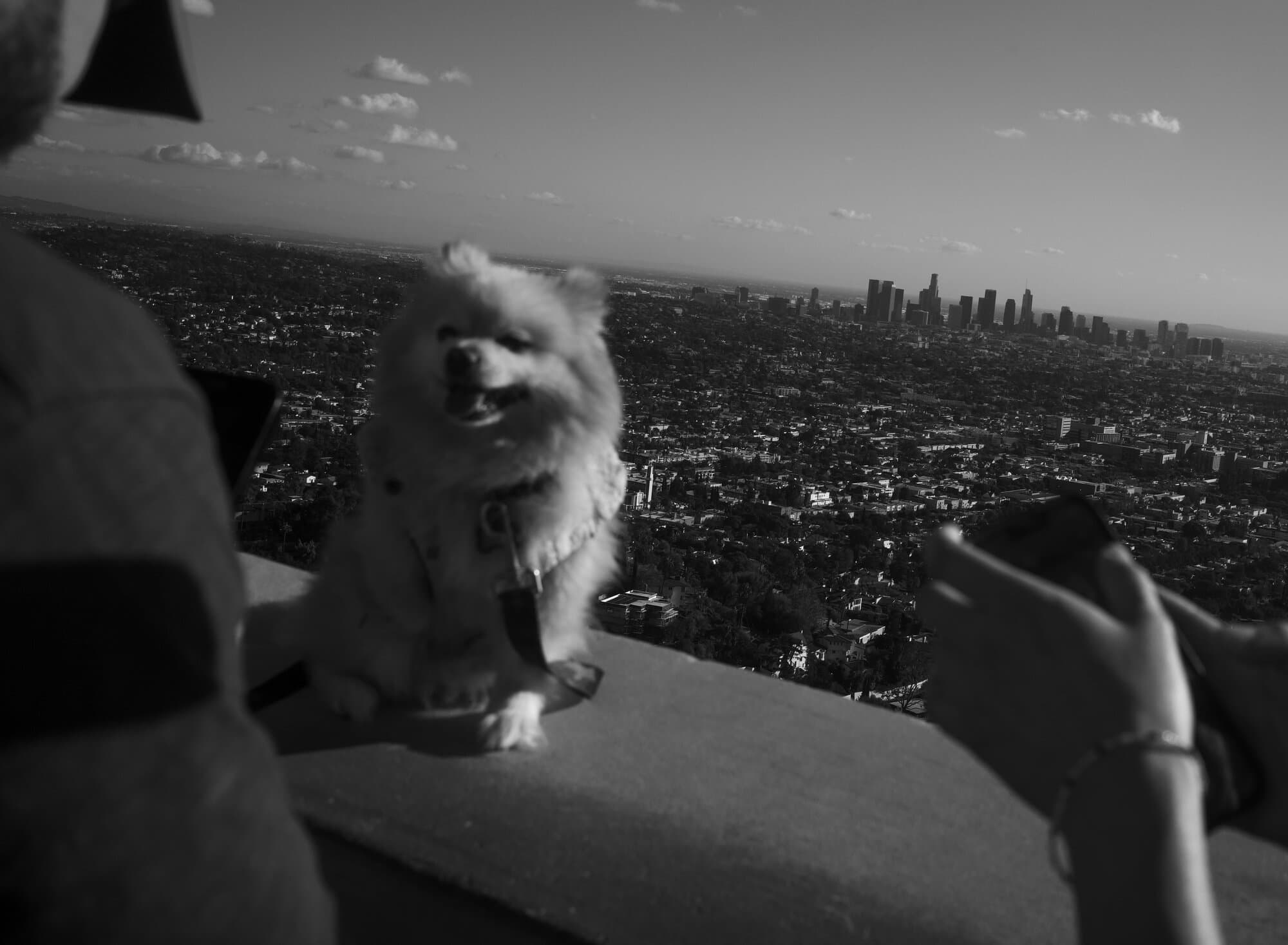Black & White — frame 38