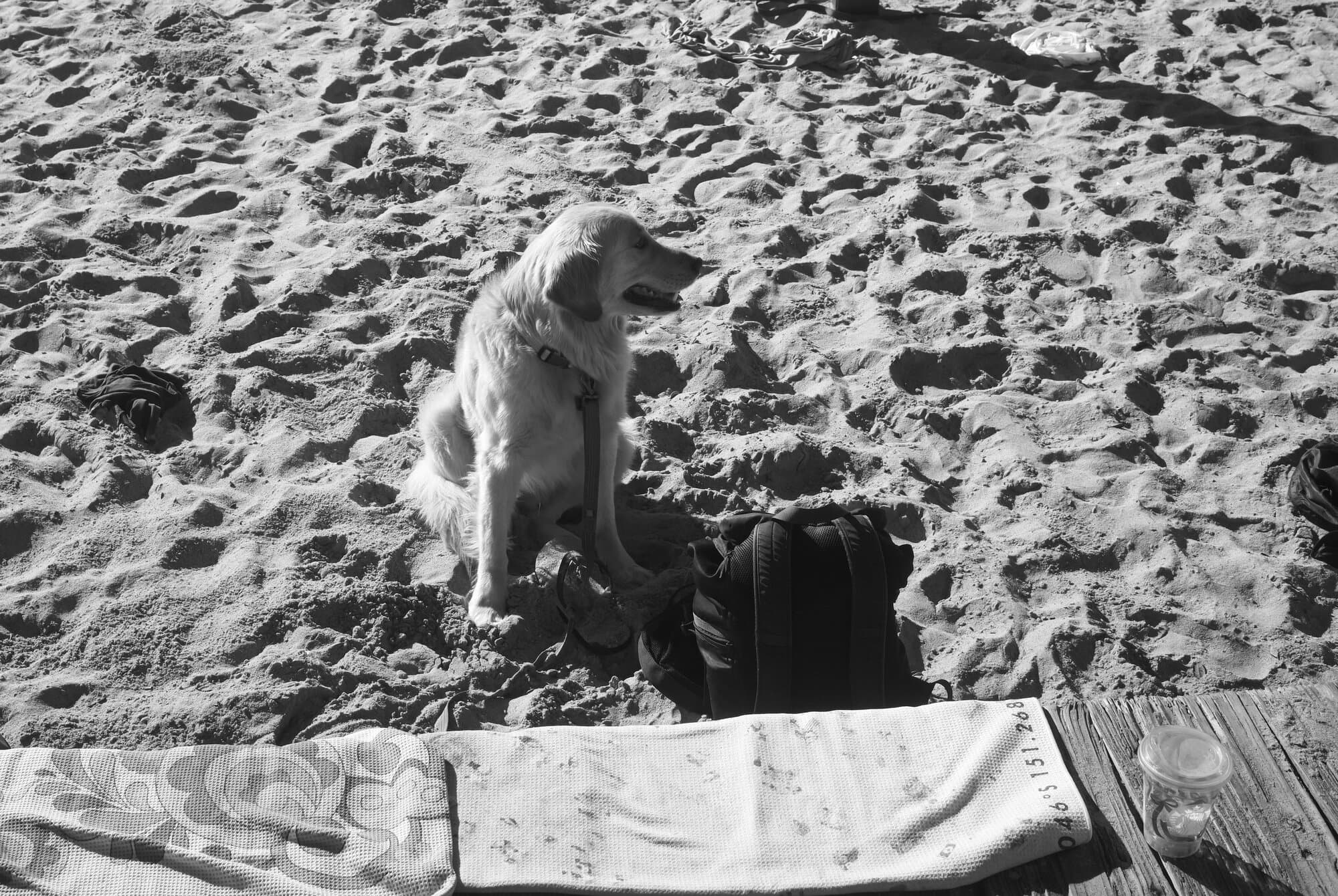 Black & White — frame 39