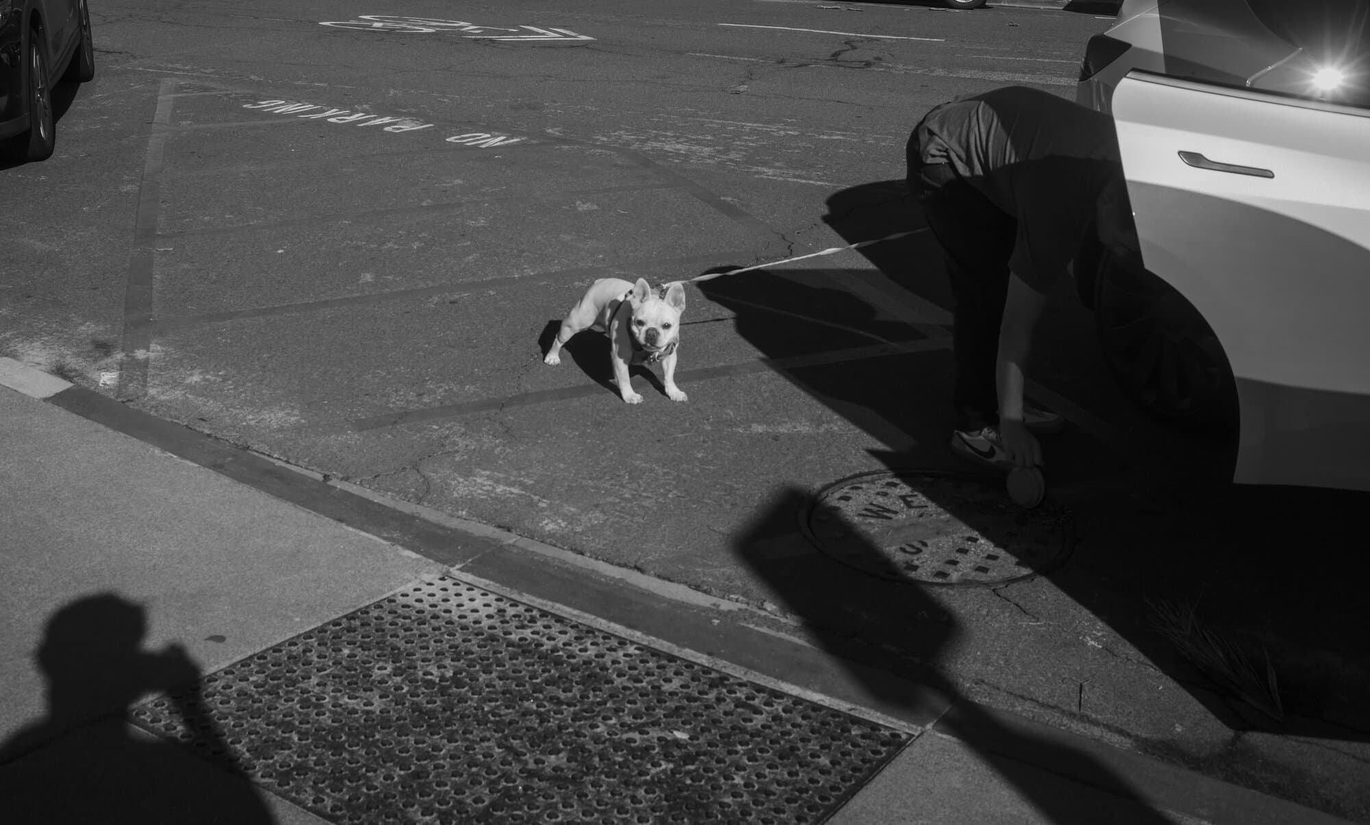 Black & White — frame 41