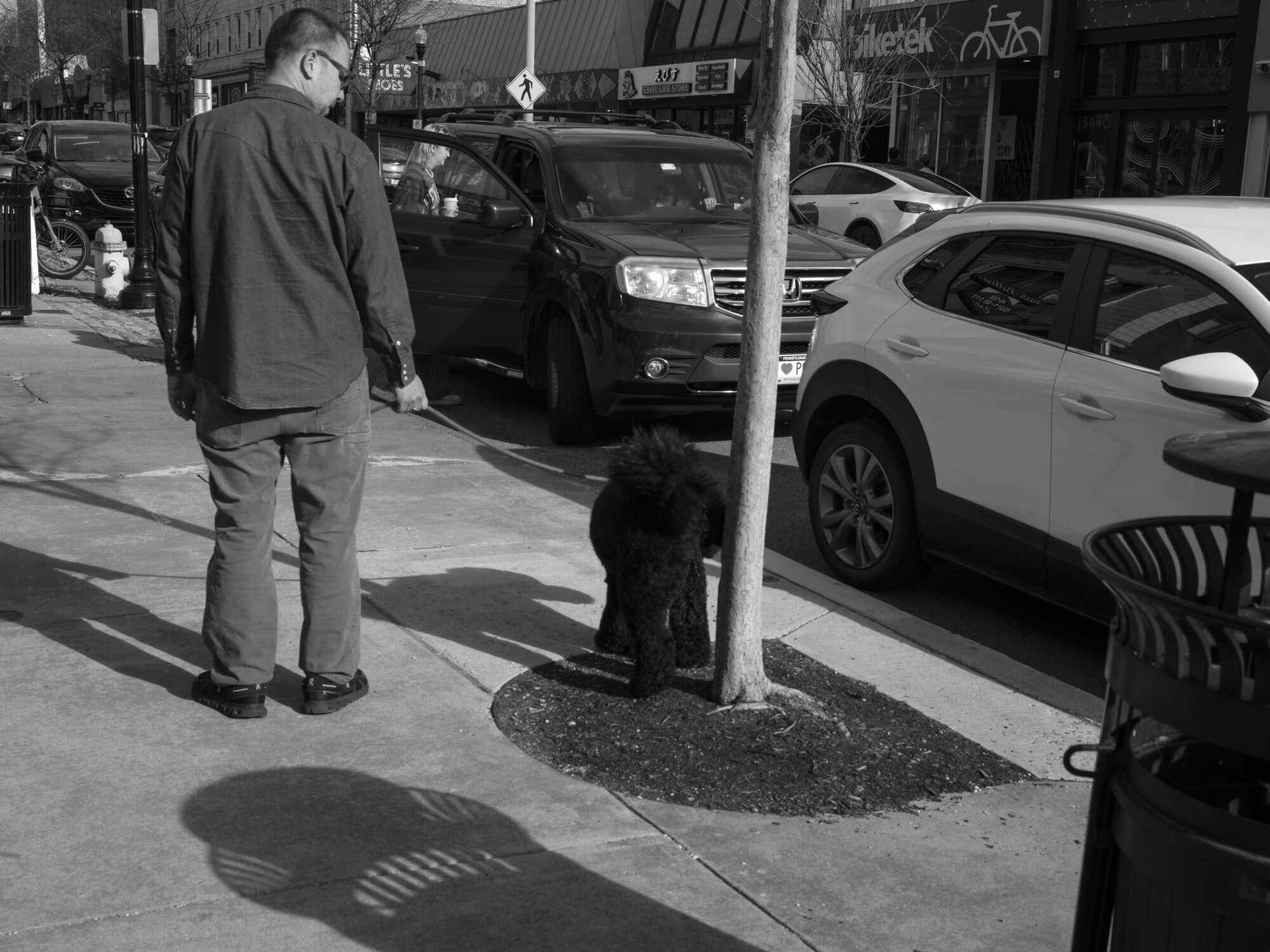 Black & White — frame 44