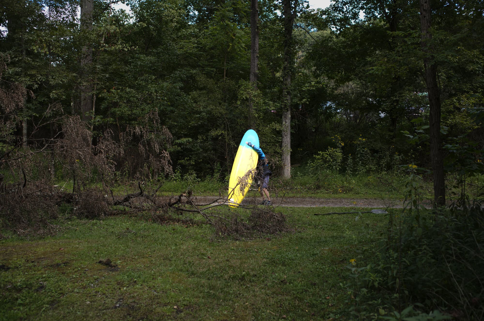 Color — frame 12