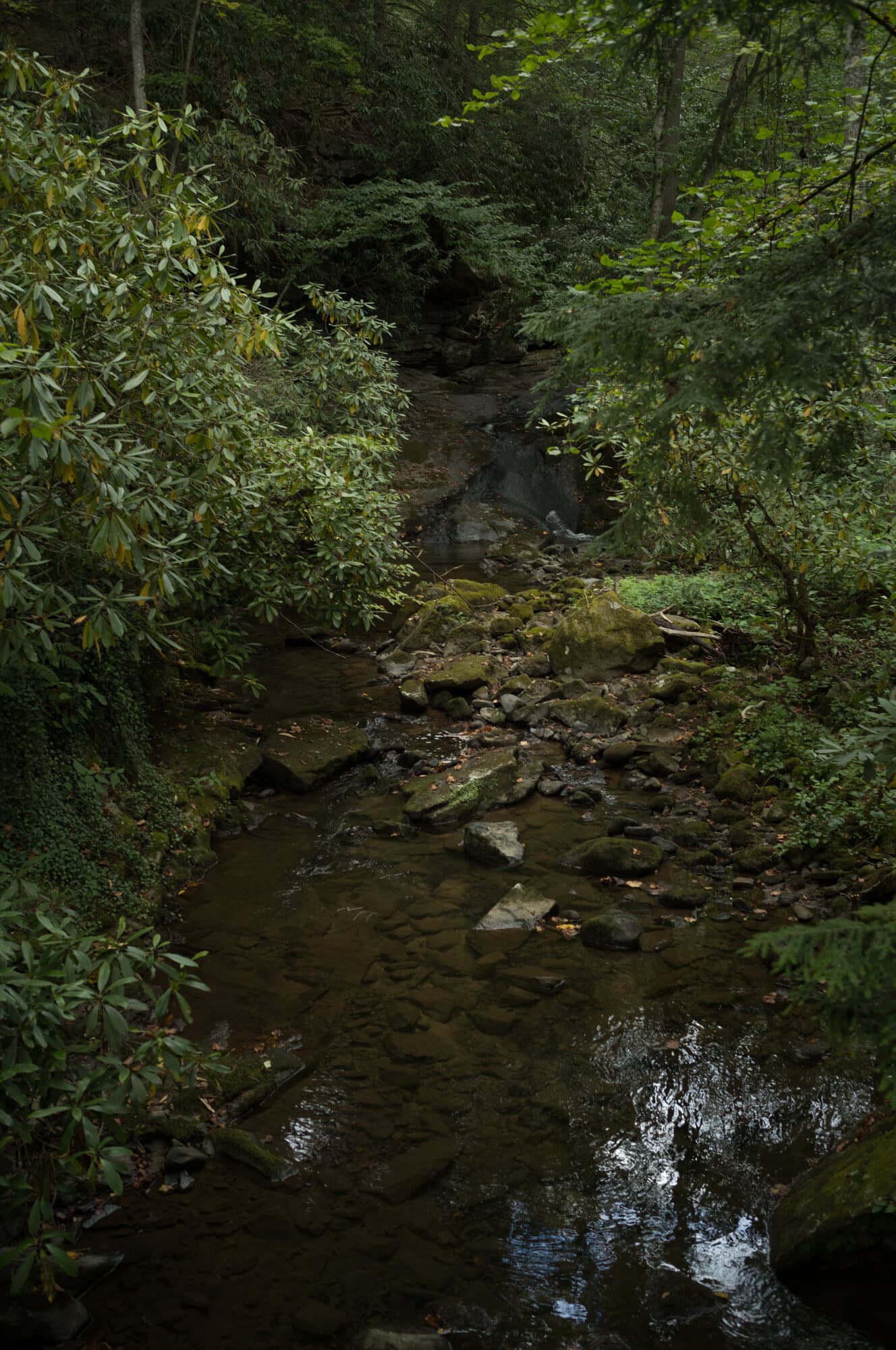 Color — frame 15