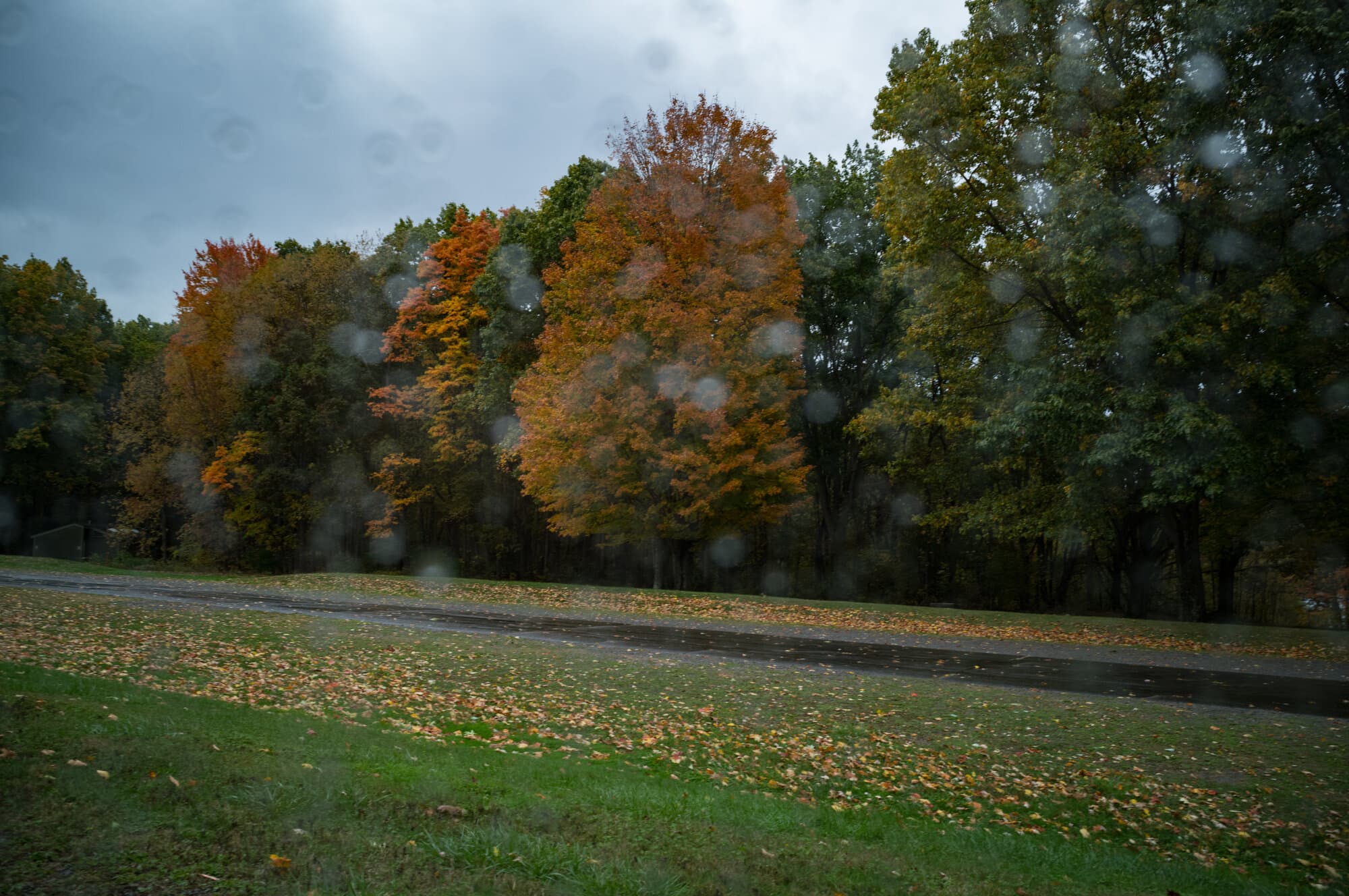 Color — frame 48