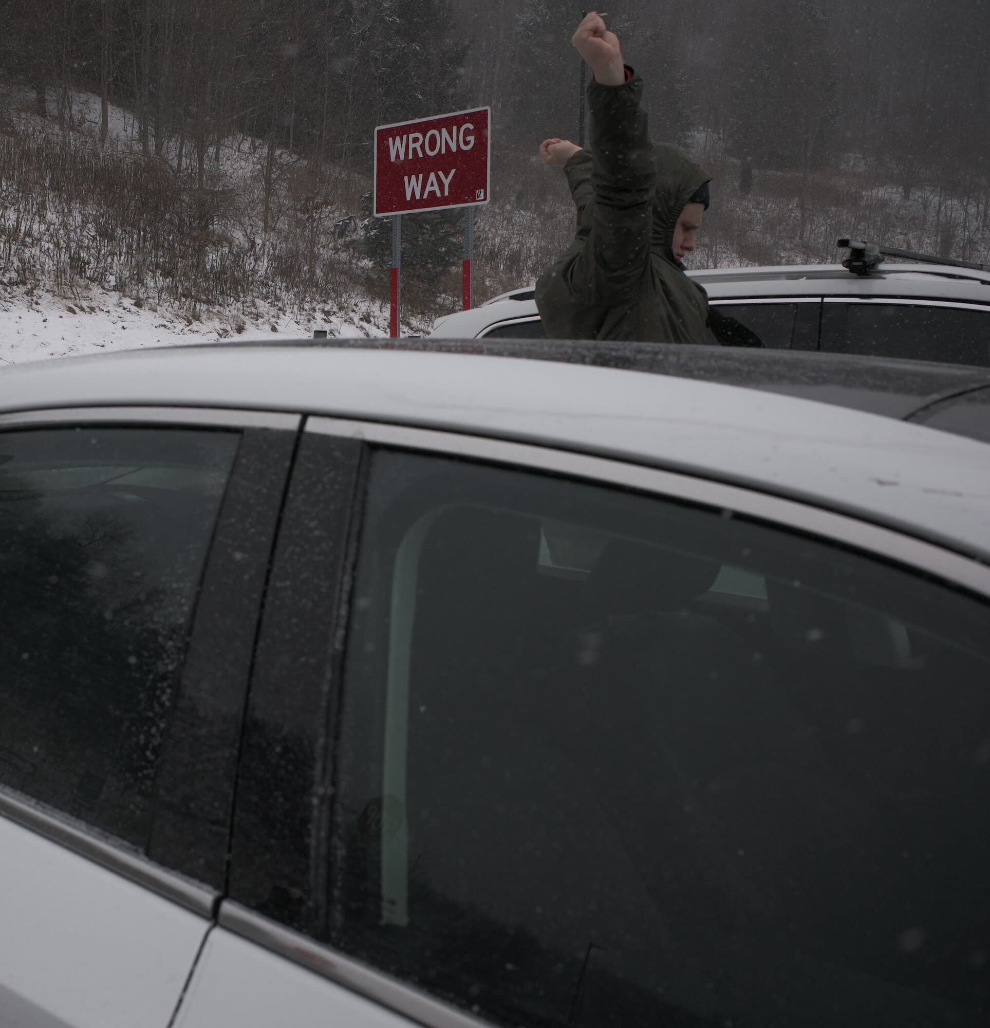 Color — frame 61