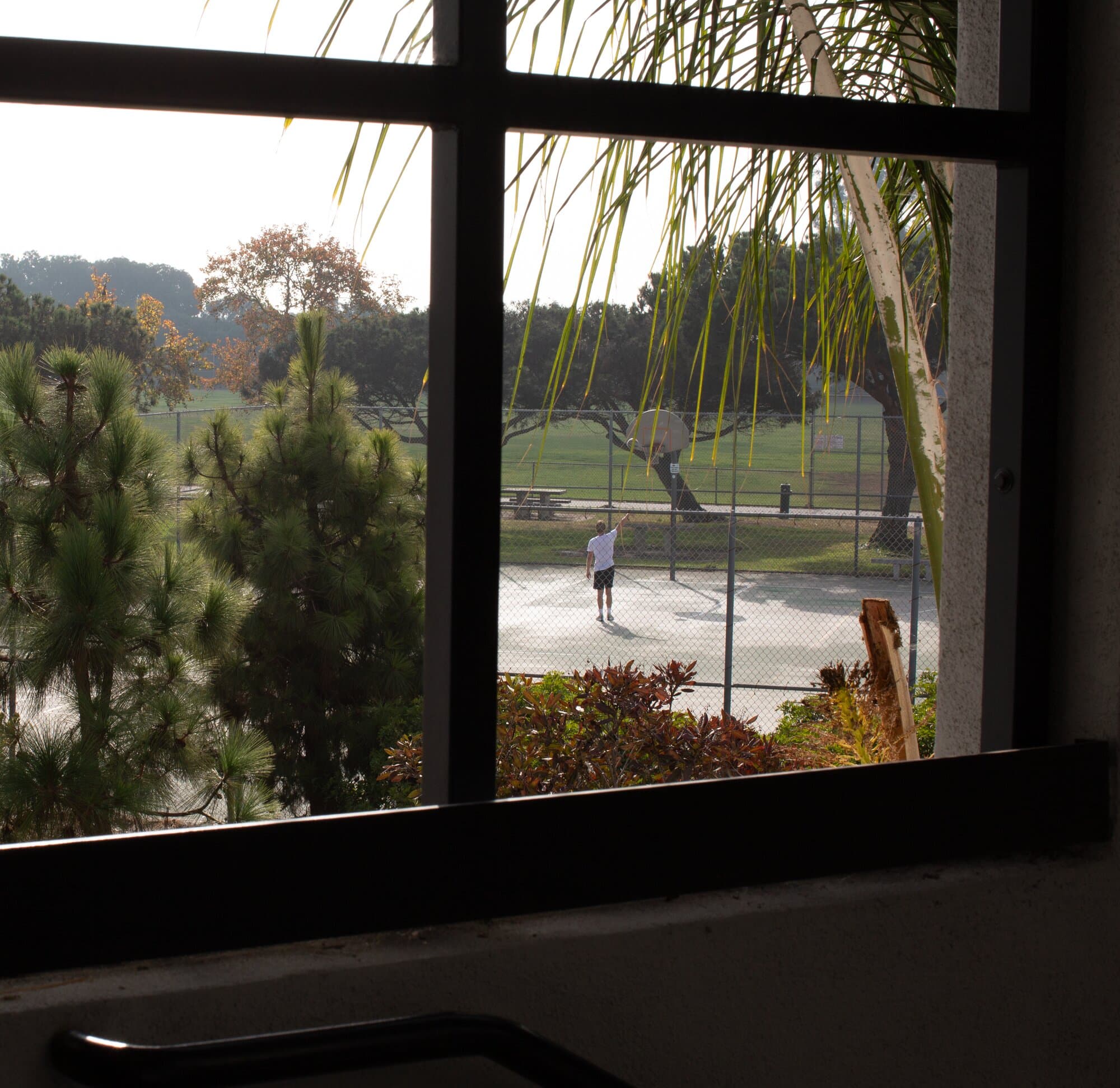 Seeing Through — frame 6